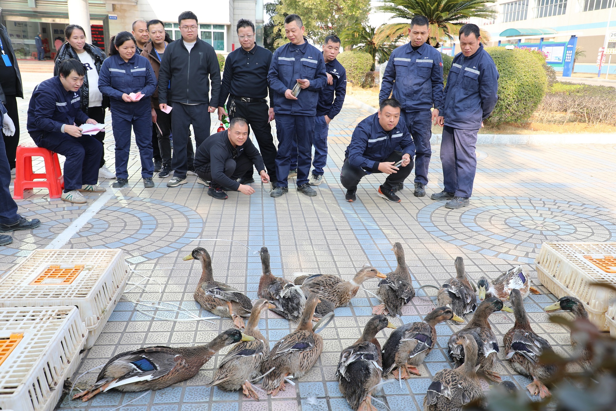 趣味游园迎新春 信心满满启新程——桂东电子开展2025春节游园活动 