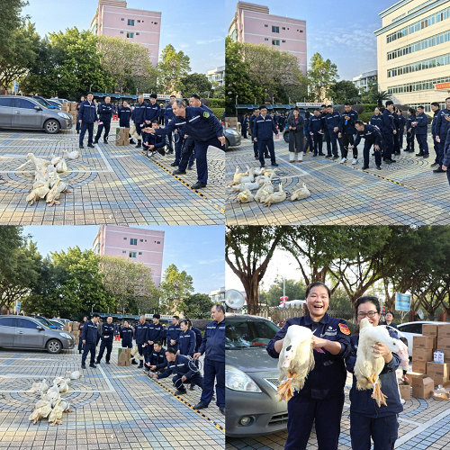 欢聚庆元旦 同心启新篇——桂东电子开展2026年元旦游园活动