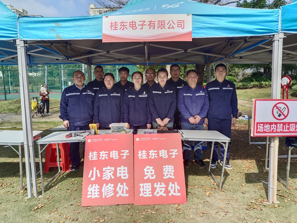 桂东电子开展 “学雷锋 做志愿 共同奋进‘十五五’”志愿服务活动